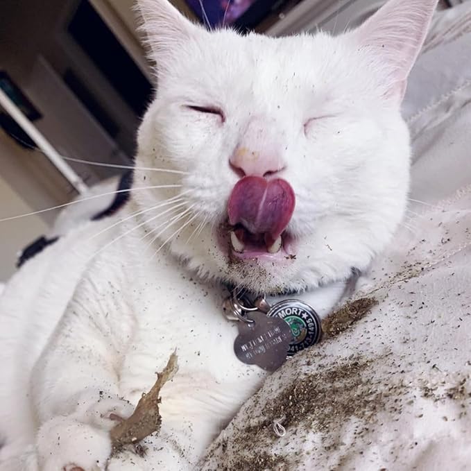 Meowijuana | King Size Catnip Joints | Organic | Dried Premium Ground Catnip | High Potency | Grown in The USA | Feline and Cat Lover Approved