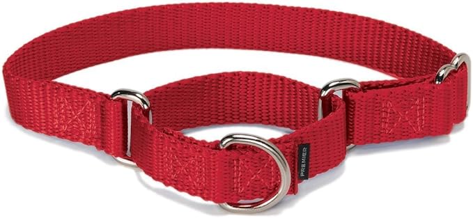 PetSafe Adjustable Martingale Collar - Only Tightens When Dogs Pull, Prevents Slipping Out - Helps with Strong Pullers, Increased Control - Alternative to Choke Collar - 3/4", Medium, Red