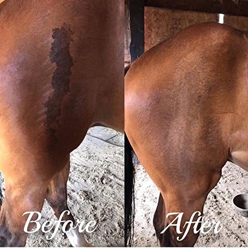 Horse Wound Lotion | Anti Bacterial/Anti Fungal | Healing, Soothing & Penetrating Formula | 8 oz Bottle