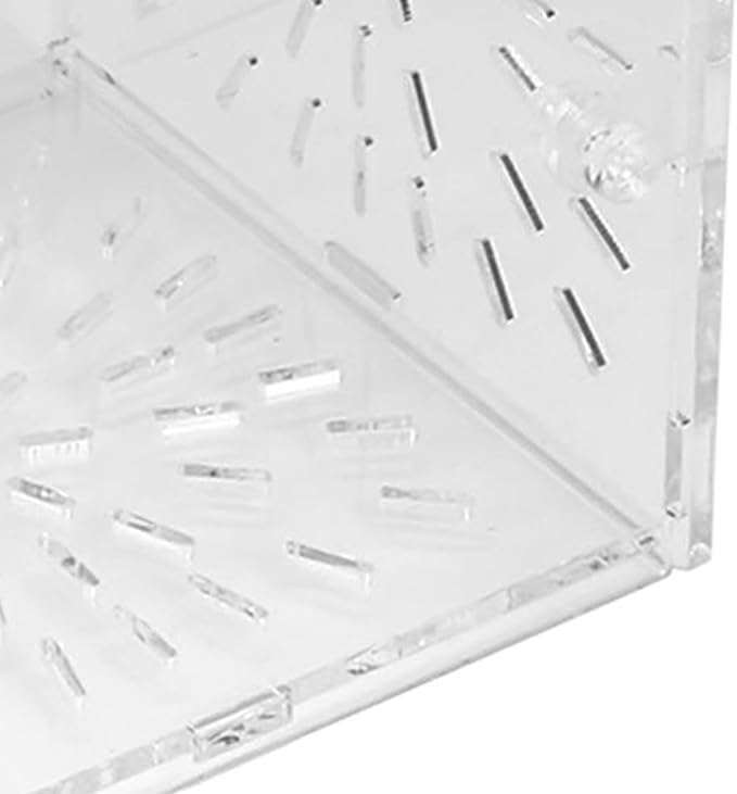 Fish Breeding Box, Acrylic Transparent Fish Breeding Isolation Box Aquarium Hatchery Incubator Holder Fish Separation Breeder Box, with Hook and Sucker Design (10CM*10CM*10CM)