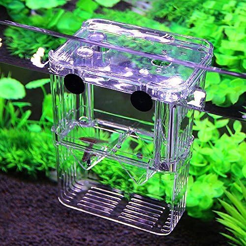 Plastic Fish Isolation Box Multi-Functional Breeding Hatchery Incubator Box