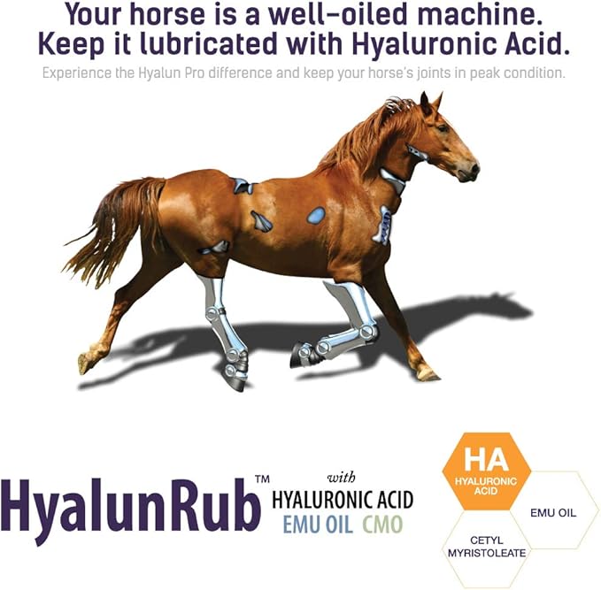 Hyalogic HA Joint Cream for Horses 6 oz Hyaluronic Acid Soothes Equine Joints and Muscles - HyalunRub