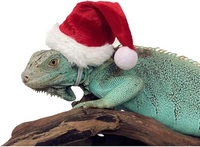 HAICHEN TEC Lizard Clothes for Bearded Dragons Christmas Hat Scarf Set Reptile Apparel Handmade Flannel Clothes