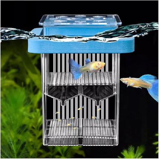 La La Pet® Floating Fish Breeding Box with Lid Parent Fish and Baby Fishes Aquarium Divider Hatching Box with Adjustable Floating Ring Transparent Incubator