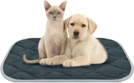 furrybaby Dog Bed Mat Flat Crate Mat with Anti-Slip Bottom Machine Washable Pet Kennel Pad for Dog Sleeping (S 24x18'', Grey Mat)