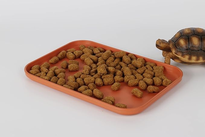 Reptile Large Water Dish, Tortoises Food Bowl - L (14.9 * 10.6 * 0.6)