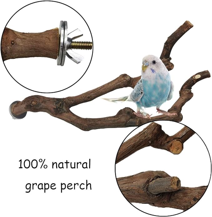 kathson Natural Parrot Perch Bird Stand Pole Wild Grape Stick Paw Grinding Fork Parakeet Climbing Standing Branches Toy Chewable Cage Accessories for Small Budgies Cockatiels Lovebirds 2PCS