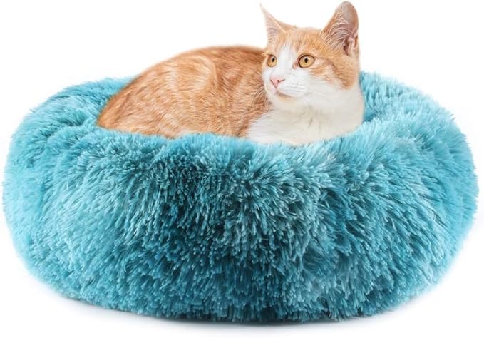 Small Cat Beds for Indoor Cats - Kitten Bed Washable 16 inches, Dog Beds for Puppy or Small Dogs (Small, Only for Kitten/Puppy Up to 5lbs)