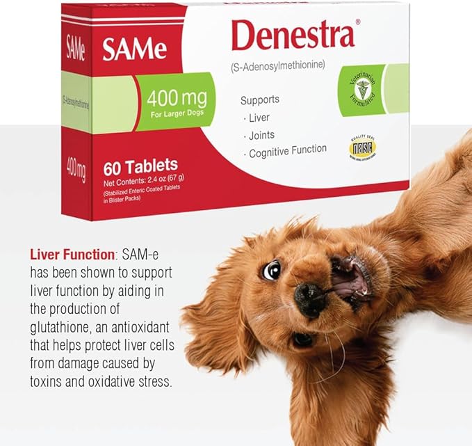 Same for Dogs - Supports Liver, Joints & Cognitive Function - Detoxication Cleansing Liver - Antioxidants - Veterinarian Formulated - 200Mg - 180 Tablets