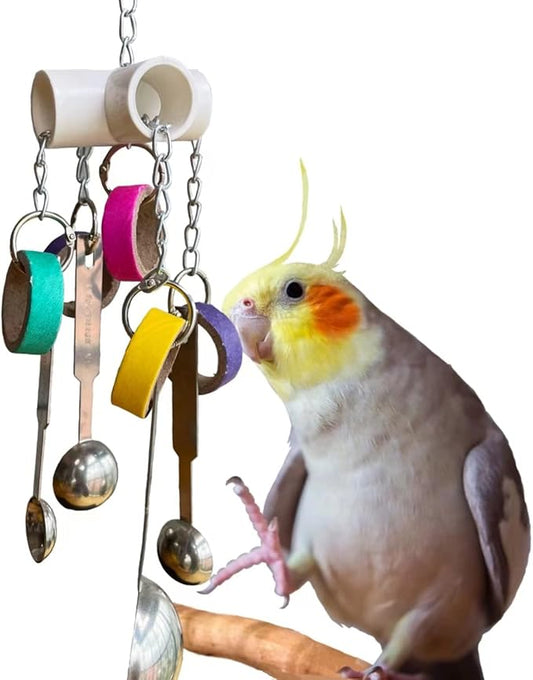 Durable Bird Parrots Scoops and Bagel Toys, Pullable Stainless Steel Spoon and Cardboard Ring Toys for Small and Medium Bird Parakeets, Cockatiels, Conures, Budgie, Lovebirds, Finches