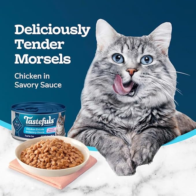 Blue Buffalo Blue Tastefuls Chicken Entree Morsels in Gravy Natural Wet Food for Adult Cats, 3 oz., Case of 12