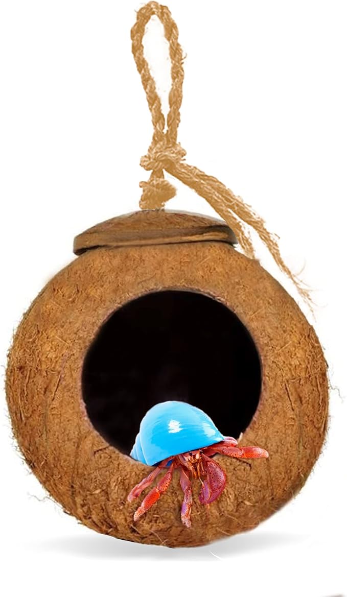 SunGrow Leopard Gecko Coco Hut, Gecko Climbing Accessories, Raw Coconut Shell Reptile Hide, Terrarium Habitat Décor, 2.5” Opening Diameter, with Fiber Loop for Hanging (1-Hole)