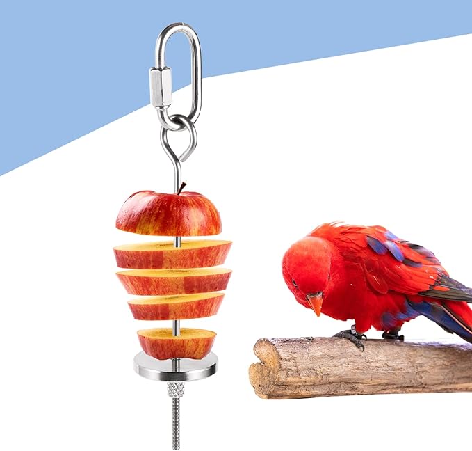 No Mess Bird Feeder Set Automatic Parrot Feeder 6PCS Automatic Bird Cage Feeders Transparent Parakeet Seed Container Food Feeder for Cage with Veggies Skewer Bird Training Feeder