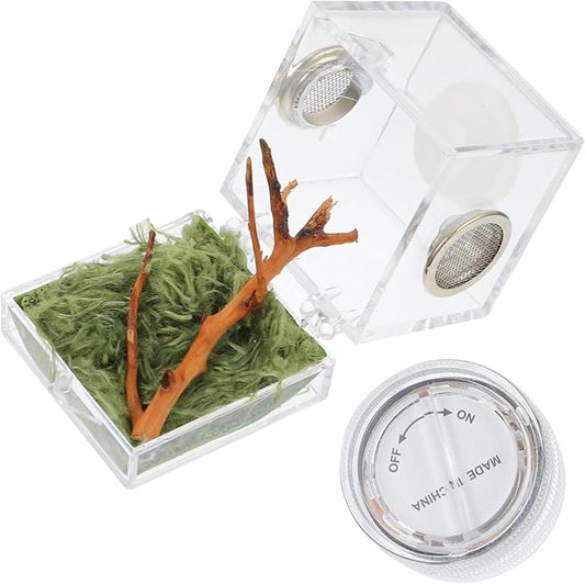 Mipcase 3pcs Box Jumping Spider Breeding Box Mini Critter Keeper Miniature Glass Animals Spider Living Habitat Carrier Glass Containers Spider Accessory Little Spider Survive Crawl Wood