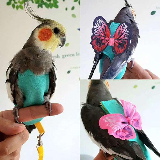 2 Pcs Bird Diaper Harness Flight Suit with Waterproof Liner Pet Bird Nappy Clothes with Flying Leash Rope Protective Parrot Diaper Suit (2 Pcs Multi, Large)