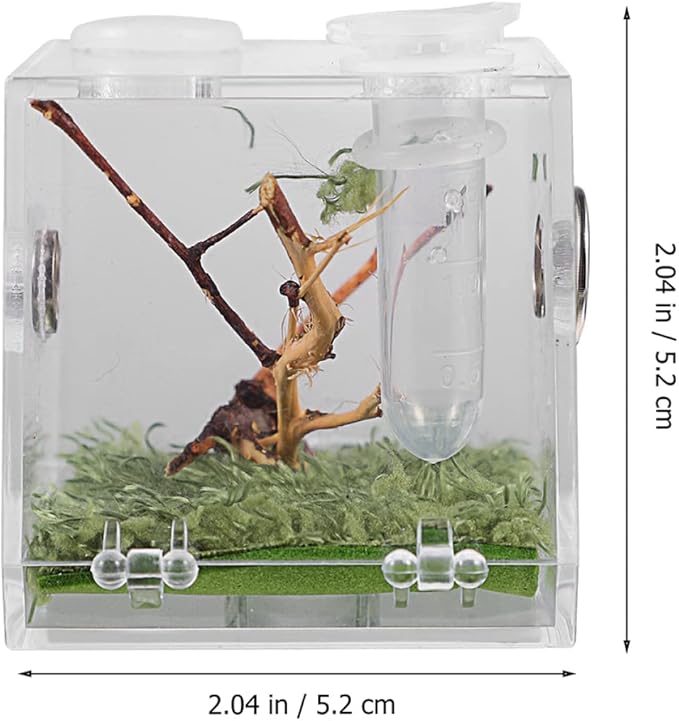 balacoo 8 Sets Jumping Spider Enclosure: Spider Cage Habitat Terrarium Micro Scorpion Droppers Reptile Hide Clear Jumping Enclosure Breeding Box Case with Breeding Tweezers Tank