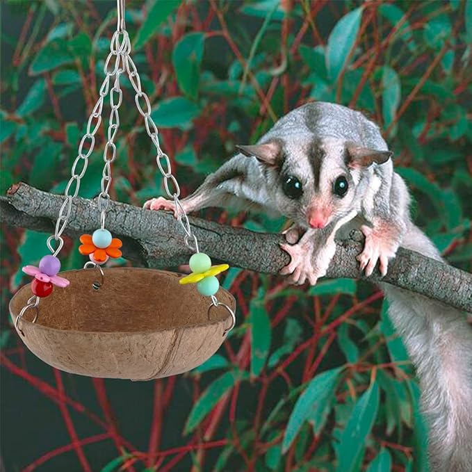 Sugar Glider Swing Toy Bird Natural Coconut Shell Nest Cage Hanging Accessories for Sugar Glider Bird Parrot