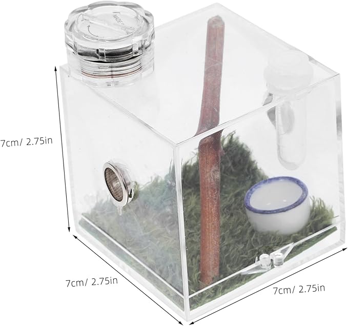 Mipcase 2pcs Box Jumping Spider Breeding Box Reptile Accessories Small Spider Enclosure Mini Critter Keeper Vivarium Tank Tarantula Cage Habitat Bracket Miniature Acrylic Little Spider