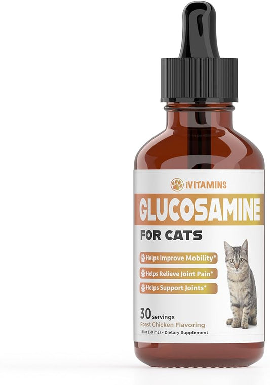 Glucosamine for Cats | Cat Glucosamine | Glucosamine for Cats Liquid | Cat Joint Supplement | Joint Supplement for Cats | Cat Joint Pain Relief | Joint Support for Cats | 1 fl oz: Chicken Flavor