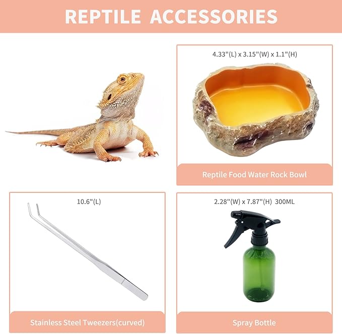 Reptileg Growth Tall Terrarium Set (PC), 8''*8''*11'' with Top Sliding Door Screen Ventilation Reptile Terrariums for Snake, Frog,Insect,Tarantula,Hermit Crab，Spider,Iguana,Tortoise,Bearded Dragon
