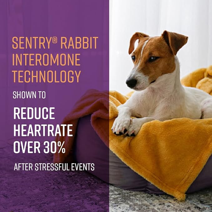 Sentry Behavior Portable Calming Diffuser for Dogs, Reduces Stress and Bad Behavior with Calming Pheromones, Easy-to-use Portable Design, 30 Day Release