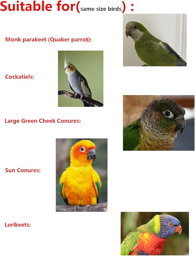 Parrot Flight Suits Diaper for Monk Parakeets, Cockatiels Clothes, Quaker Parrot Flight Clothes, Bird Training Nappy Suit Liners with Hanger Leash Hole for Sun Conure Senegal Lorikeet…