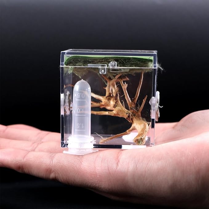 Spider Terrarium,Acrylic Reptile Terrarium,Jumping Spider Enclosure with Dropper Tongs,Reptile Breeding Habitat Box