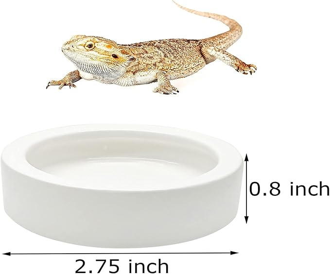 3 Pcs Reptile Food Bowl, Ceramic Water Feeder Bowl for Lizard Anoles Bearded Dragons Crested Gecko Hermit Crabs Triangular