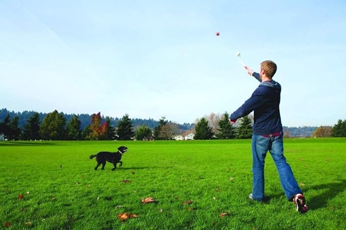 Chuckit Pocket Ball Launcher Medium Ball - 12" Launcher (4 Pack)