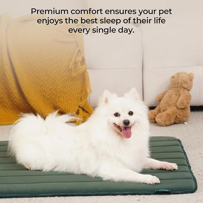 BALANCE Dog Crate Pad, Dog Foam Crate Mat Kennel Pad, Washable Water-Resistant Pet Bed Flat Dog Cage Mat for Small Dogs