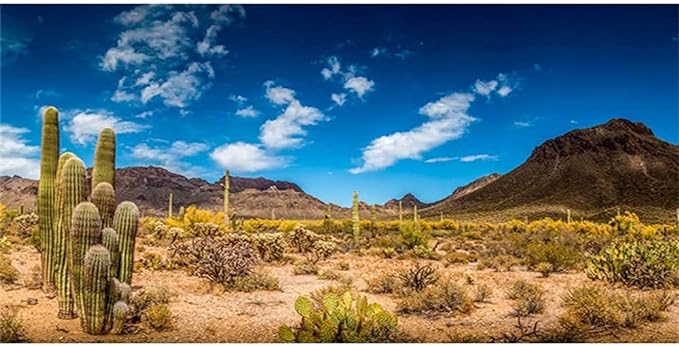 AWERT 24x12 inches Reptile Habitat Background Blue Sky Oasis Cactus Desert Terrarium Background Vinyl