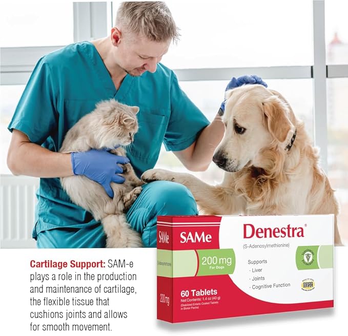 Same for Dogs - Supports Liver, Joints & Cognitive Function - Detoxication Cleansing Liver - Antioxidants - Veterinarian Formulated - 200Mg - 180 Tablets