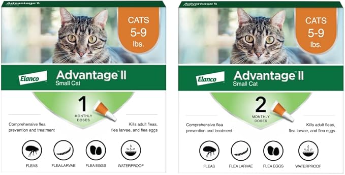 Advantage II Small Cat Vet-Recommended Flea Treatment & Prevention | Cats 5-9 lbs. | 3-Month Supply