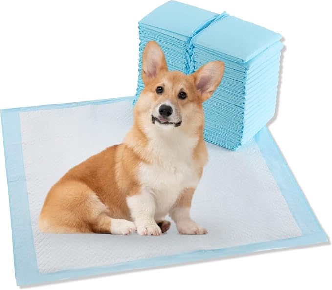 CALPALMY (80-Pack) 24"x24" Pet Training Pee Pads, Ultra Absorbent Pee Pads for Dog and Puppy - with Leak-Proof Moisture Locking Technology Disposable Pet Pads for Puppies, Dogs, Cats, Rabbits