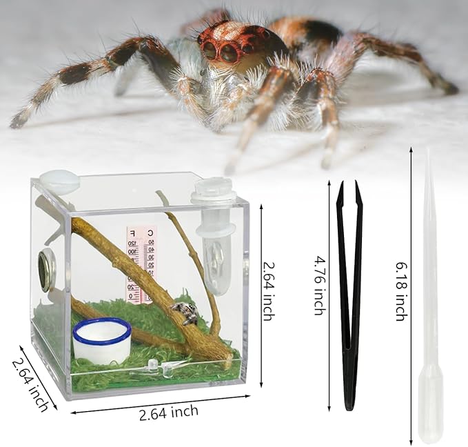 2 Pack Jumping Spider Enclosure,Tarantula Enclosure with Tongs and Droppers,Praying Mantis Eggs to Hatch Box for Small Animals Such As Tarantula,Spiders,Snails,Crickets,Praying Mantis and Ants