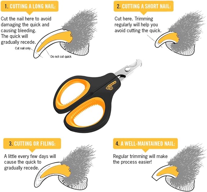 Cat Nail Clipper - Professional Cat Claw trimmer & Cat Claw Clipper - Cat Nail Trimmers Suits All Small Animals such as Dogs, Cats, Puppies, Kittens, Birds, Hedgehogs, ferrets, rabbits, hamsters ..