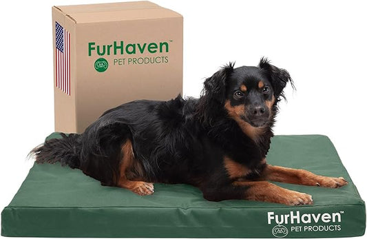 Furhaven Water-Resistant Memory Foam Dog Bed for Medium/Small Dogs w/ Removable Washable Cover, For Dogs Up to 35 lbs - Indoor/Outdoor Logo Print Oxford Polycanvas Mattress - Forest, Medium