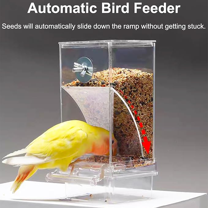 No Mess Bird Feeder with Water Dispenser, Automatic Parrot Feeder Drinker Parakeet Seed Dispenser Food Container with Cage Perch for Lovebirds Conures Budgies Canary Finch (4Pcs)