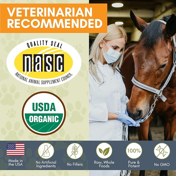 Wholistic Pet Organics Digest-All Plus: Horse Probiotics Powder - 1 Lb - Equine Probiotics and Prebiotics with Digestive Enzymes - Equine Digestive Supplements for Gas, Constipation and Gut Health