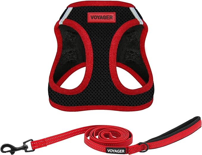 Voyager Step-in Air All Weather Mesh Harness and Reflective Dog 5 ft Leash Combo with Neoprene Handle, for Small, Medium and Large Breed Puppies by Best Pet Supplies - Red Trim,S