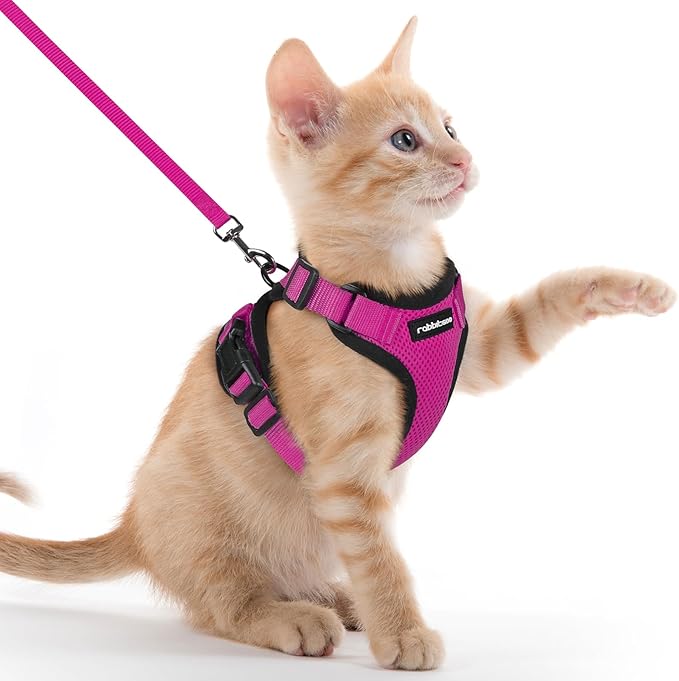 rabbitgoo Cat Harness and Leash for Walking, Escape Proof Soft Adjustable Vest Harnesses for Cats, Easy Control Breathable Reflective Strips Jacket, Rose Red, XXS