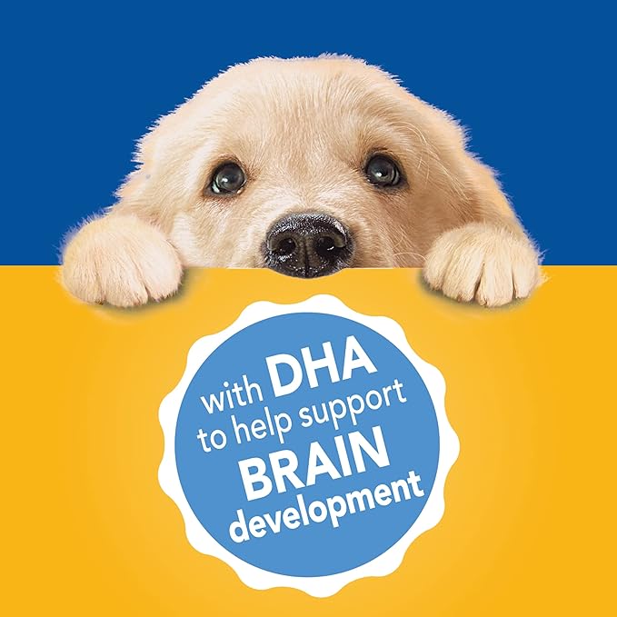 PEDIGREE CHOPPED GROUND DINNER Puppy Canned Soft Wet Dog Food With Chicken & Beef, 13.2 oz. Cans (Pack of 12)