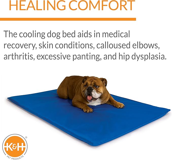 K&H Pet Products Cool Bed III Dog Cooling Mat, Cooling Dog Beds for Medium Dogs, Dog Cooling Mat for Dog Carrier, Outdoor Dog Bed Cooling Pad for Dog, Pet Cooling Mat - Blue Medium 22 X 32 Inches