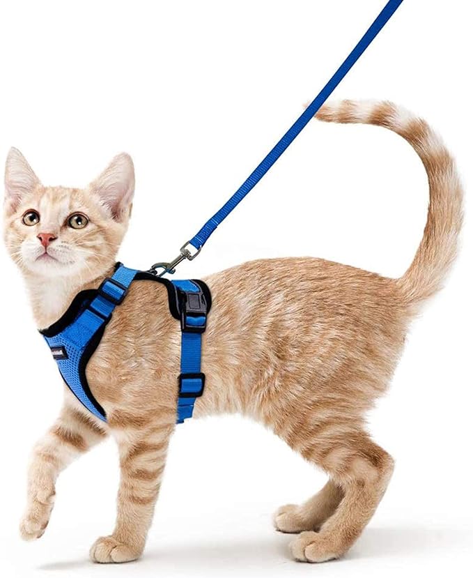 rabbitgoo Cat Harness and Leash for Walking, Escape Proof Soft Adjustable Vest Harnesses for Cats, Easy Control Breathable Reflective Strips Jacket, Navy Blue, S