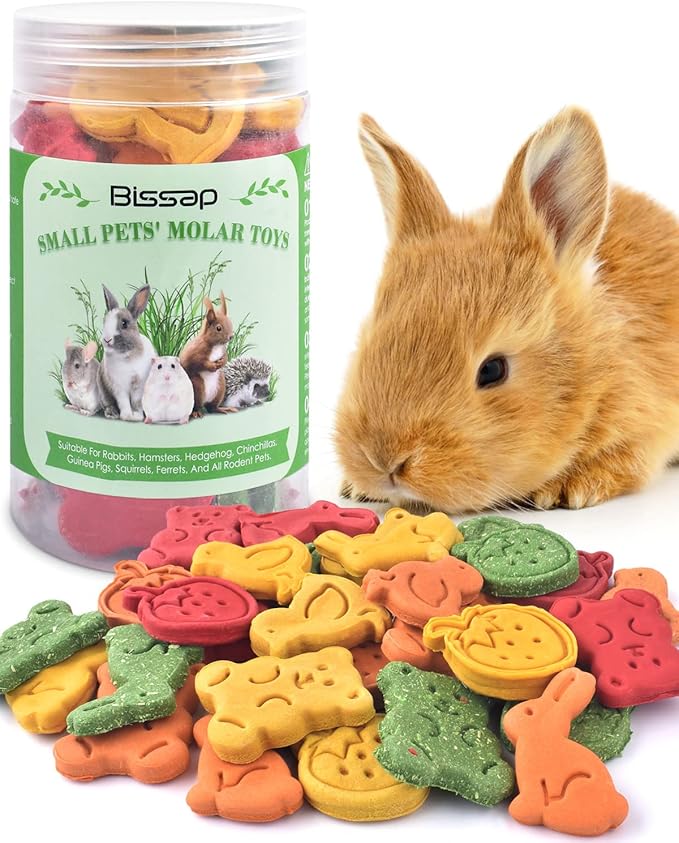 Bissap 32PCS Bunny Chew Toys, Mixed Natural Timothy Hay Pumpkin Strawberry Carrot Chinchillas Chewing Toys and Treats for Rabbit Bunny Guinea Pig Hamster Gerbil and Other Small Animals Molar Snacks