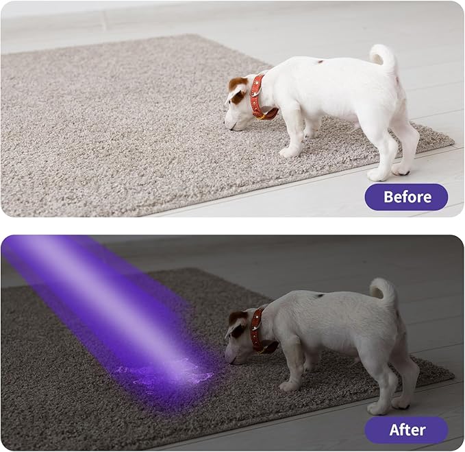 COSOOS UV Flashlight Black Light, Mini Pen Light with 395nm Ultraviolet Blacklight, Waterproof Pet Urine Detector Light for Dog/Cat, Dry Stains, Resin Curing, Bed Bug