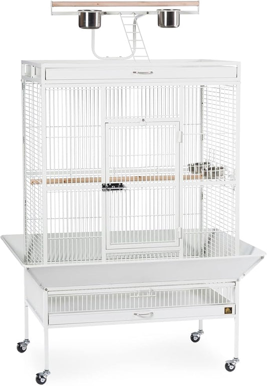 Prevue Pet Products Wrought Iron Select Bird Cage 3154C, Chalk White, 36-Inch by 24-Inch by 66-Inch