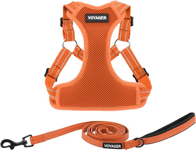 Best Pet Supplies Voyager Adjustable Dog Harness Leash Set with Reflective Stripes for Walking Heavy-Duty Full Body No Pull Vest with Leash D-Ring, Breathable All-Weather - Harness (Orange), XL