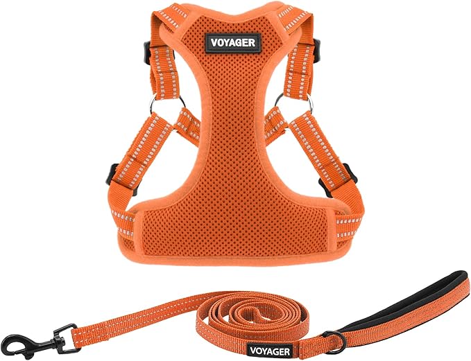 Best Pet Supplies Voyager Adjustable Dog Harness Leash Set with Reflective Stripes for Walking Heavy-Duty Full Body No Pull Vest with Leash D-Ring, Breathable All-Weather - Harness (Orange), L