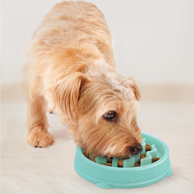 Outward Hound Fun Feeder Slo Bowl, Slow Feeder Dog Bowl, Small/Tiny, Mint